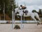 Where To Start with Horses and More