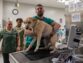 Animal Hospital Vs Veterinary Clinic