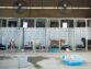 A Guide to Sourcing Kennel Facilities for your Dog