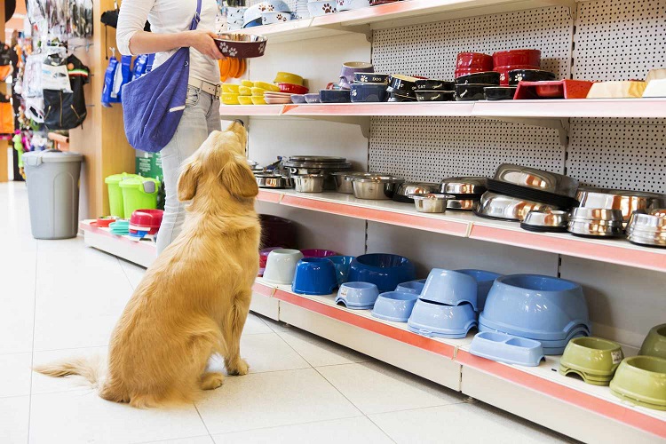 pets shop