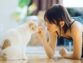 Cat Training Mistakes You Should Avoid