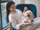 A Short Guide to Dog Asthma