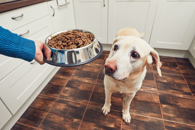 Pet Food