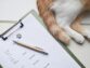 Check Inclusions and Exclusions of Pet Insurance Policy