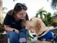 Dog Medical Emergency Guide: are you prepared?