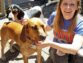 9 Awesome Reasons to Get a Dog ASAP