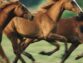 3 Common Horse Breeds