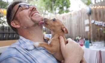 5 Things You Need Before Bringing Home A New Dog