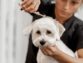 Behavioral grooming of your dog.