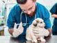 What Is a Kennel Cough Vaccine?