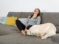 Why Do Dogs Lick Your Feet?