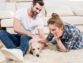 Guidelines To Search For Dog-Friendly Apartments