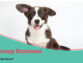 Dawg Business: A Step-By-Step Guide