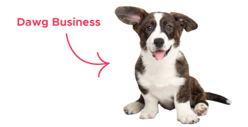 Dawg Business