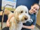 Discover The Causes Of Itching And Hair Loss In Dogs