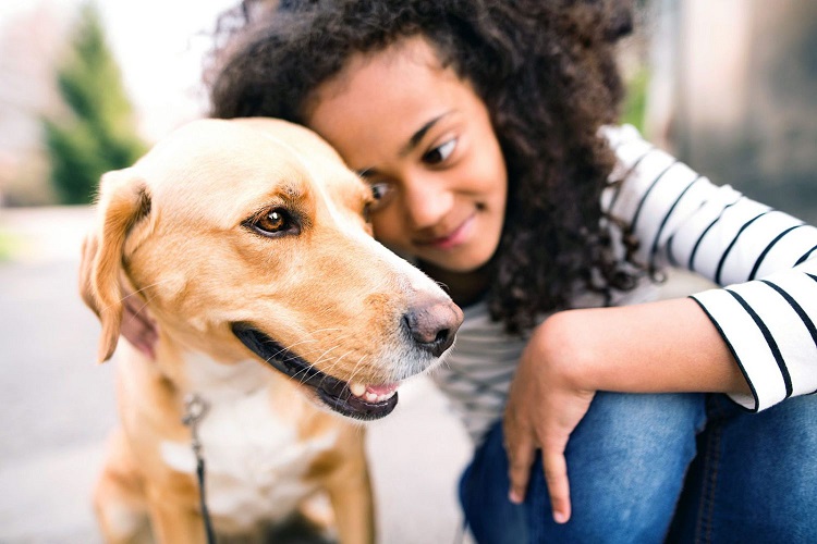 Treating Tapeworms In Dogs