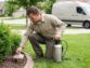 Pest Species Found in Frisco Neighborhoods